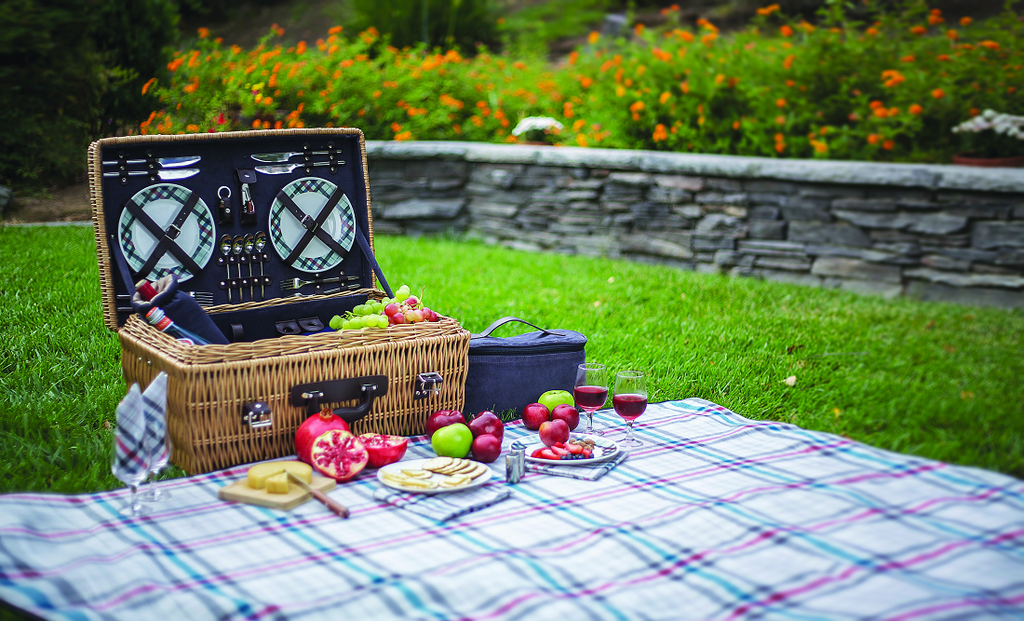 Carnaby Picnic Basket - Premier Home & Gifts