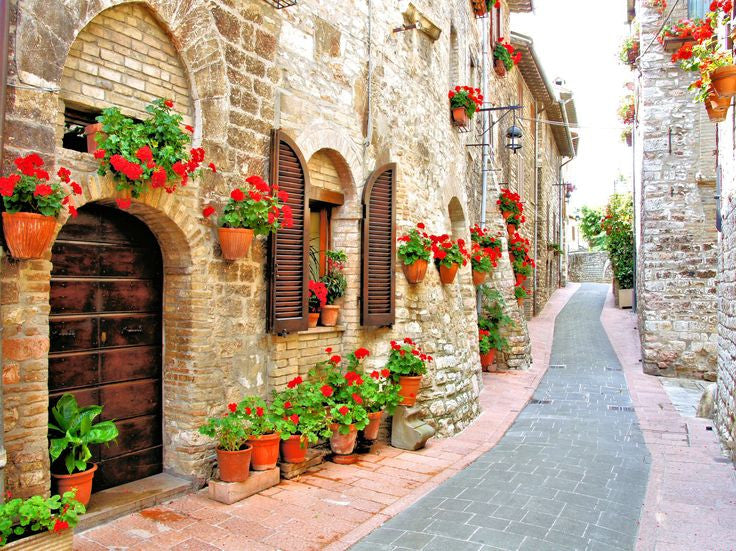 Geranium Stroll Outdoor Canvas Art - Premier Home & Gifts