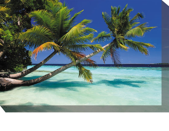 Palms Outdoor Canvas Art - Premier Home & Gifts