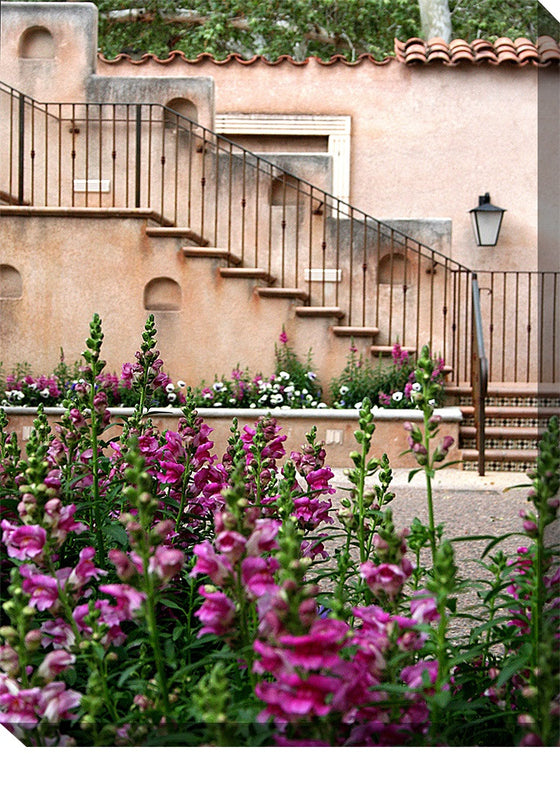 Snapdragons Outdoor Canvas Art - Premier Home & Gifts