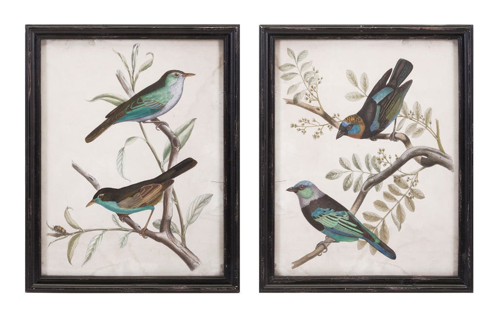 Jardin Bird Wall Decor - Premier Home & Gifts