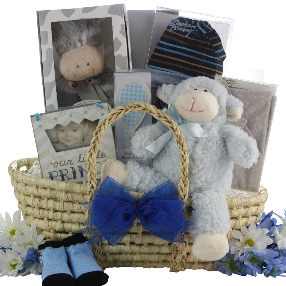 Bouncing Baby Boy Baby Gift Basket - Premier Home & Gifts