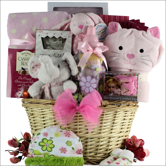 Congratulations Baby Girl Baby Gift Basket - Premier Home & Gifts