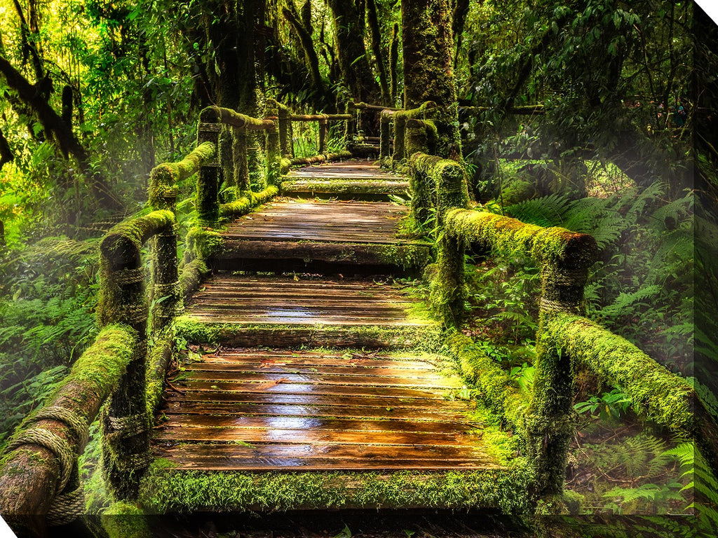 Jungle Walk Outdoor Canvas Art - Wall Art