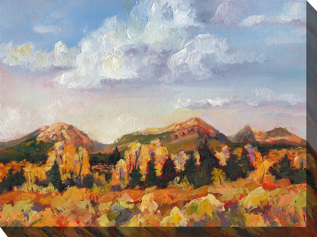 Rugged Mountains Outdoor Canvas Art - Premier Home & Gifts