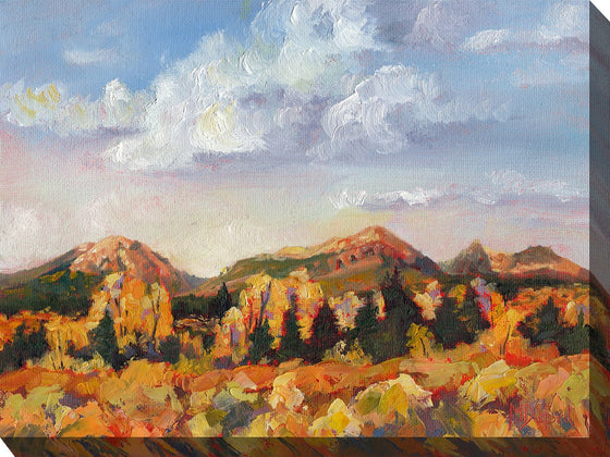 Rugged Mountains Outdoor Canvas Art - Premier Home & Gifts